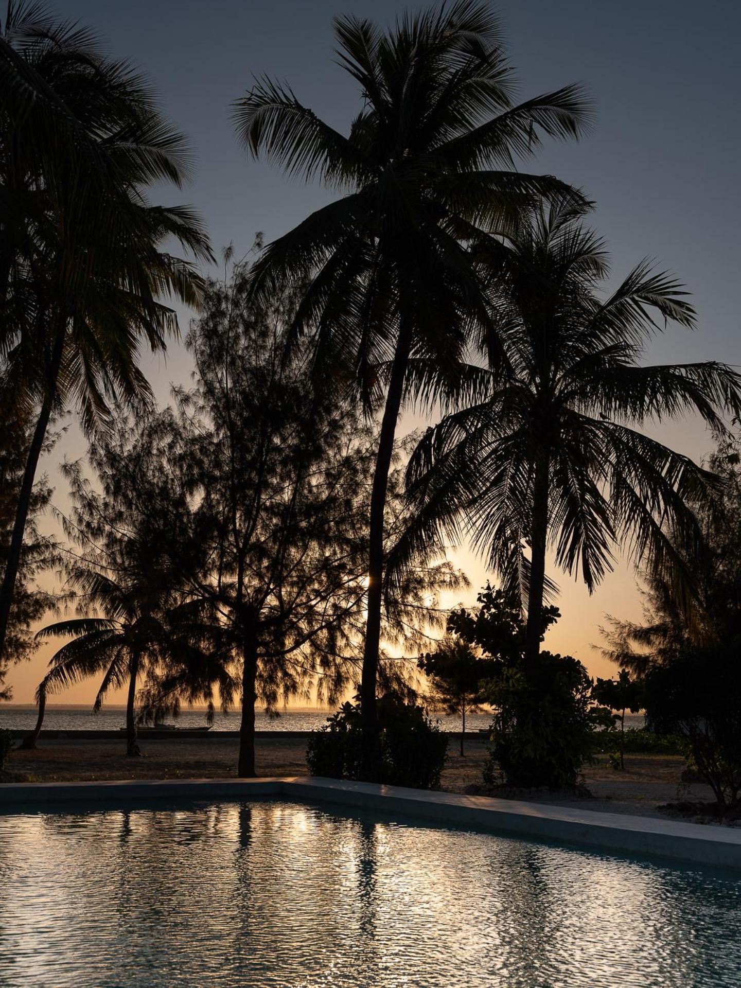 Bahati Sunset Bungalows Michamvi Exterior foto